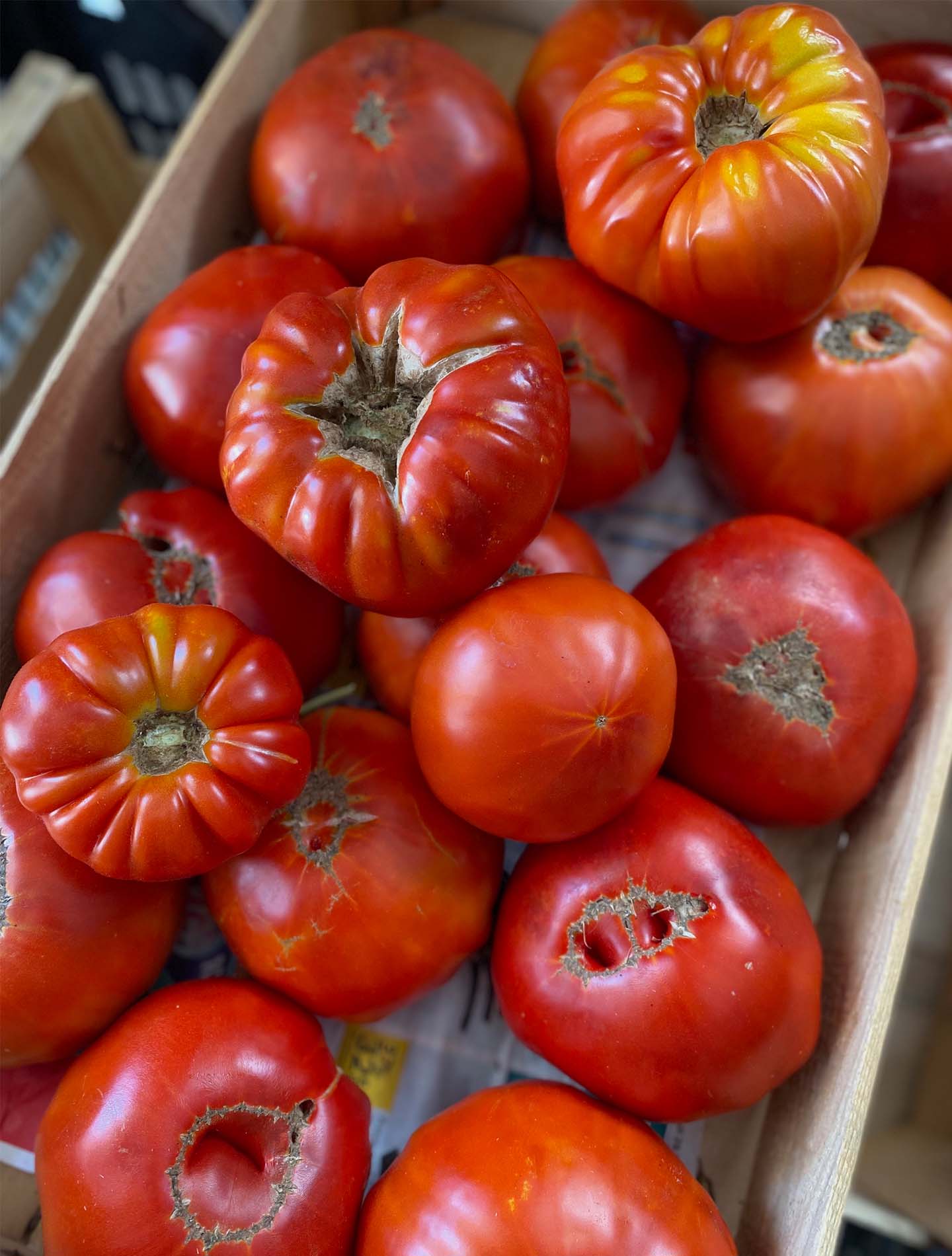Les tomates locales Patine x Provisions